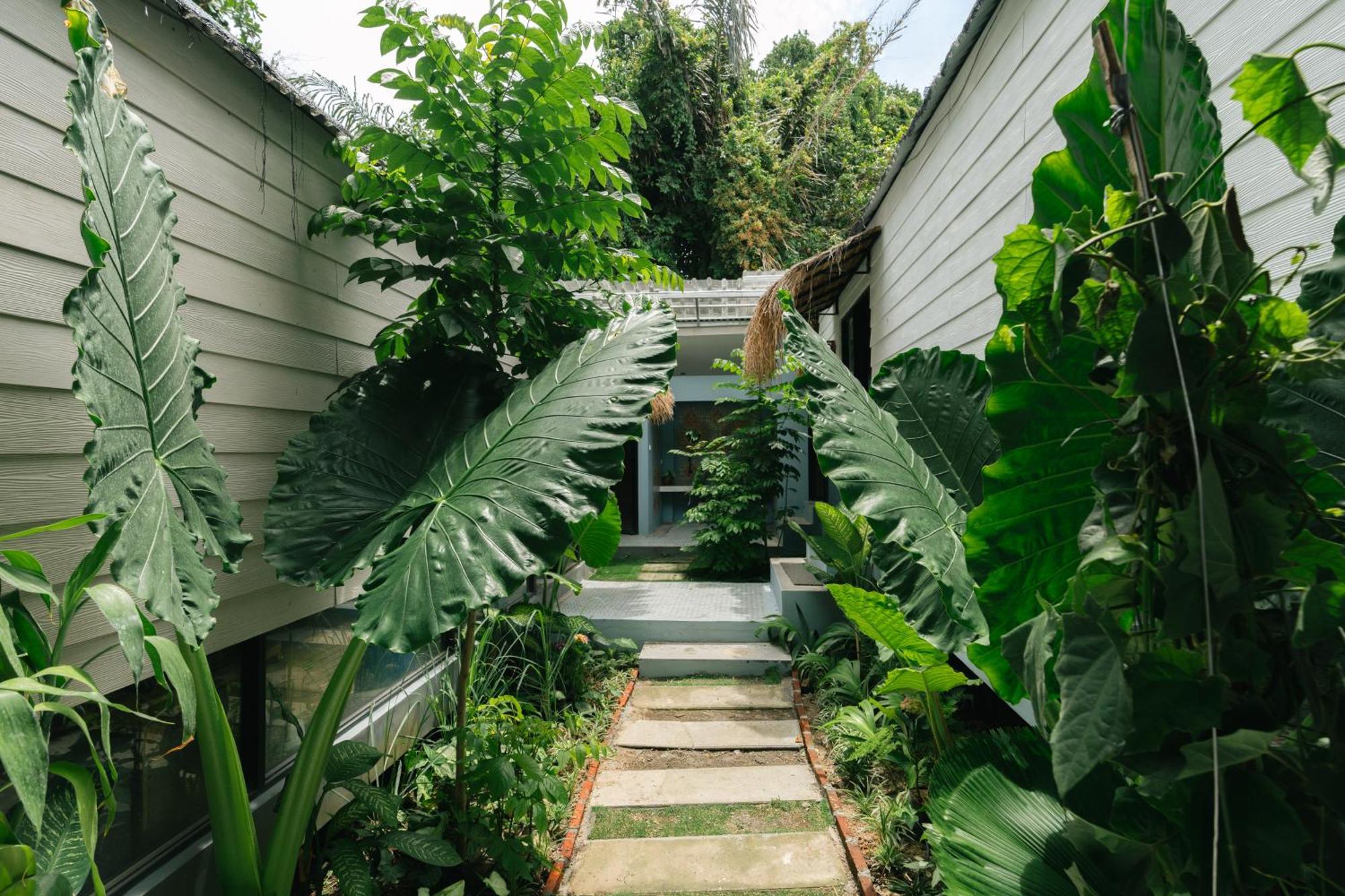 The Jungle Hostel Canggu Eksteriør bilde