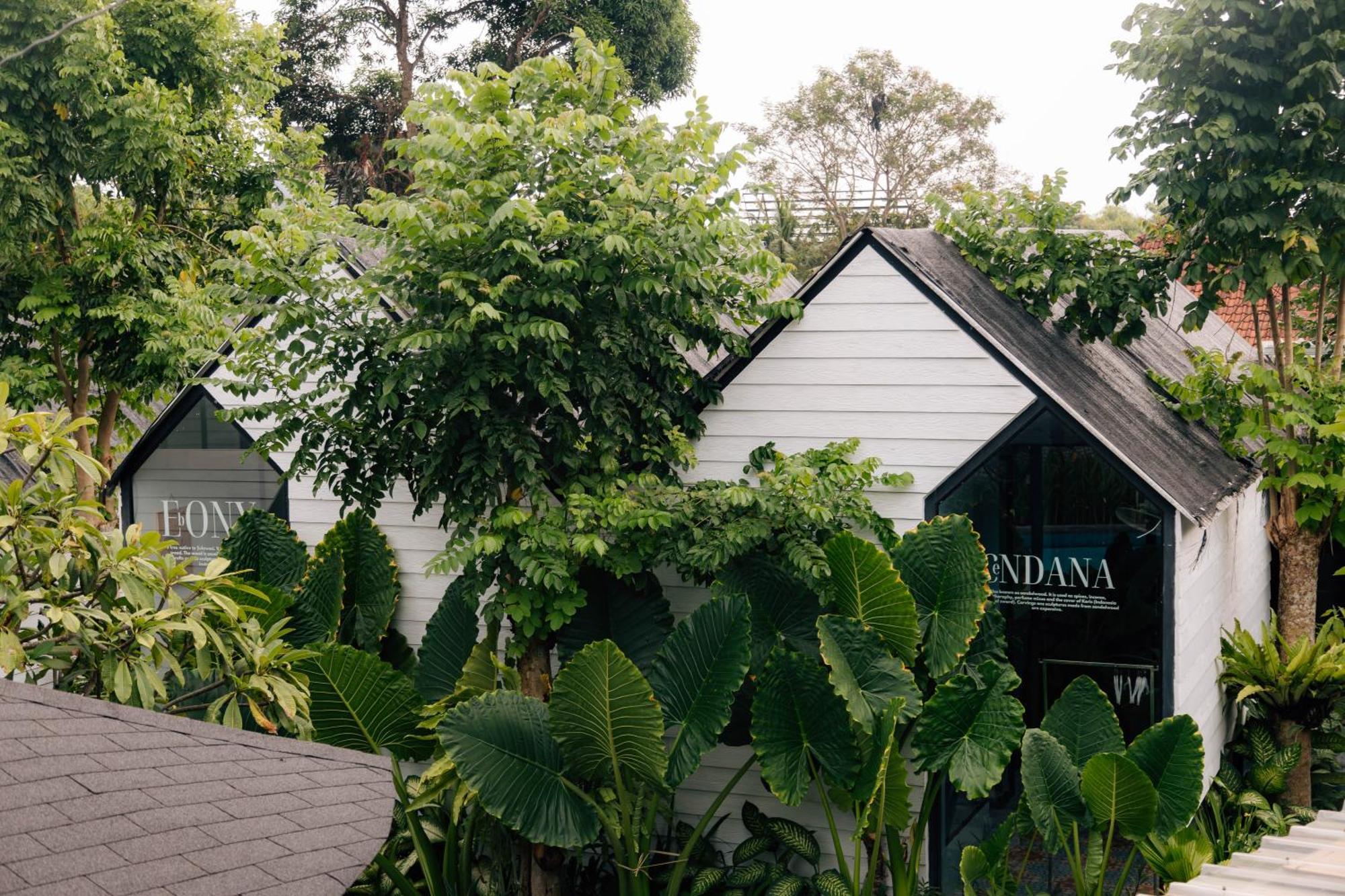 The Jungle Hostel Canggu Eksteriør bilde